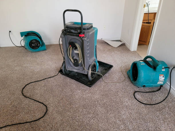Best Flood damage cleanup  in Pacific, MO