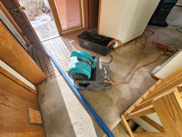 Local water damage restoration in MO