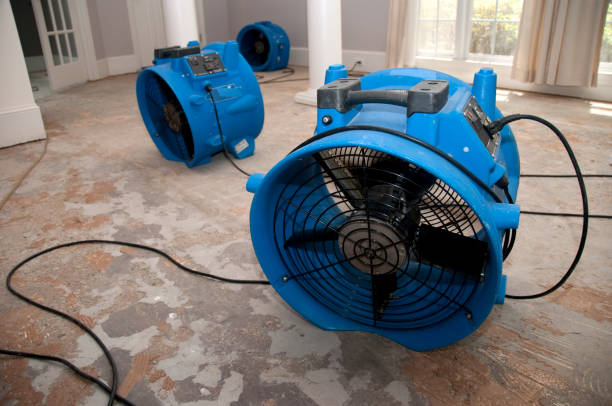 Best Fire Damage Restoration  in Pacific, MO