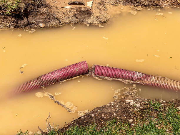 Best Mold removal after water damage  in Pacific, MO